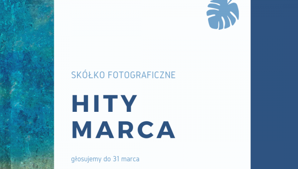 HITY MARCA!!! WYBIERAMY ZDJĘCIE MARCA 2020 #zostanwdomu